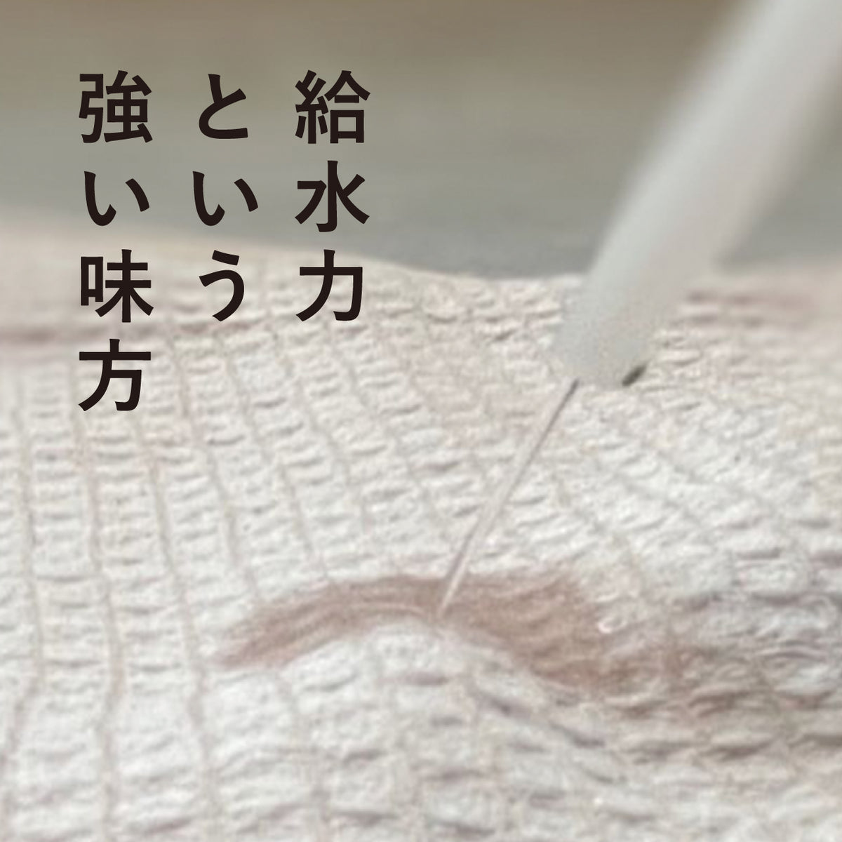 三河木綿イチオリ　ガーゼハンカチ 066 001